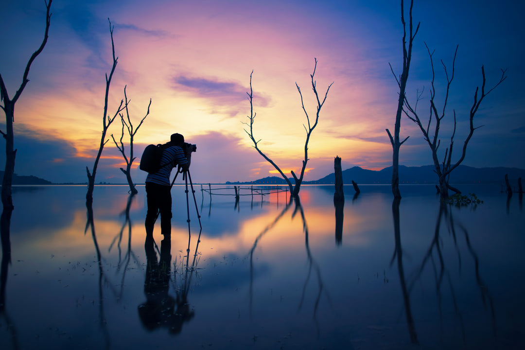 Why Professional Photographers Choose Vivid Metal Prints