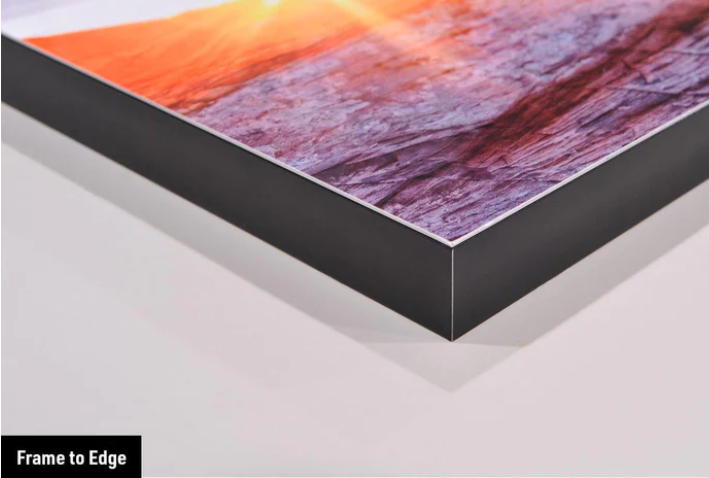 Vivid Frame Guide & Mounting Options