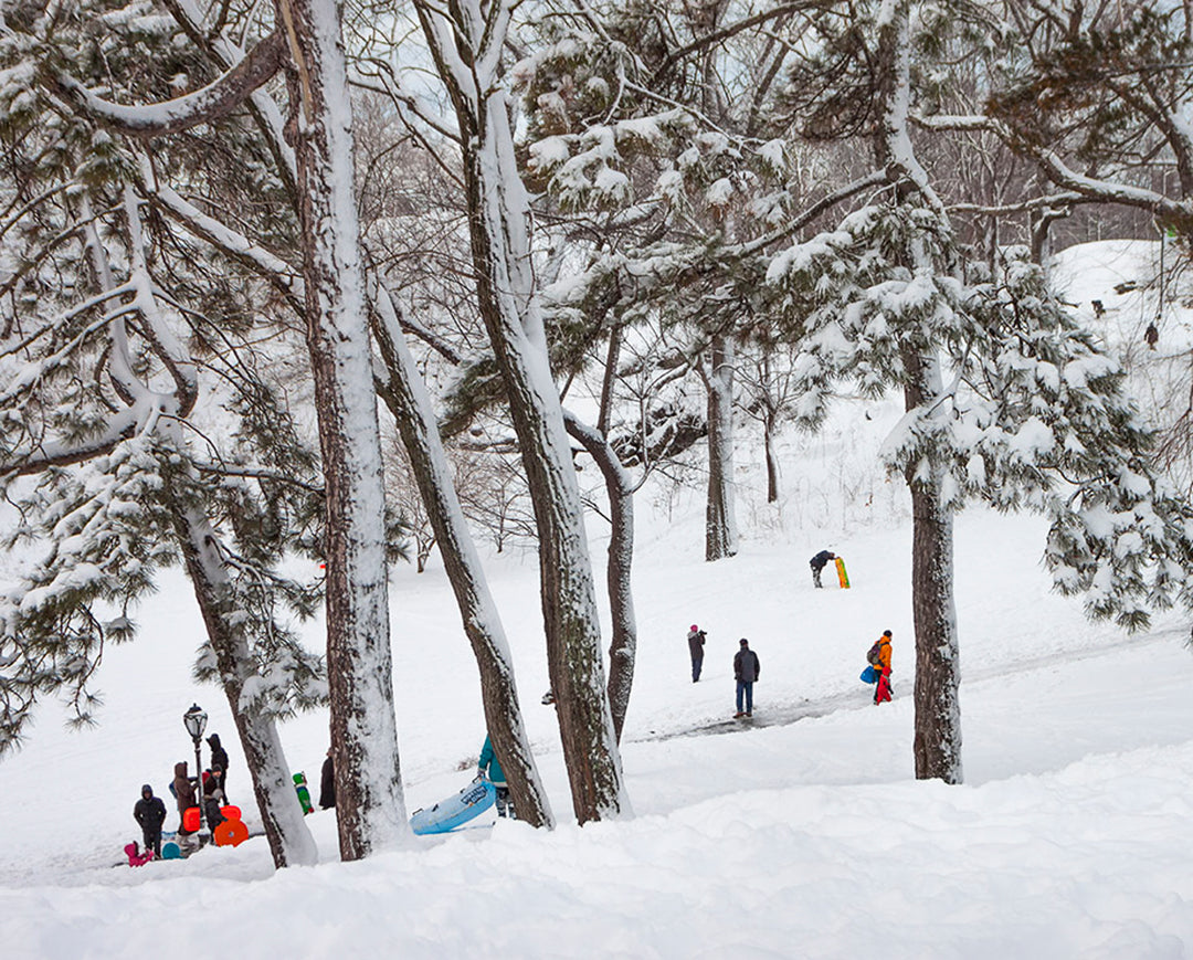 Merelyn Bucio - Sledding