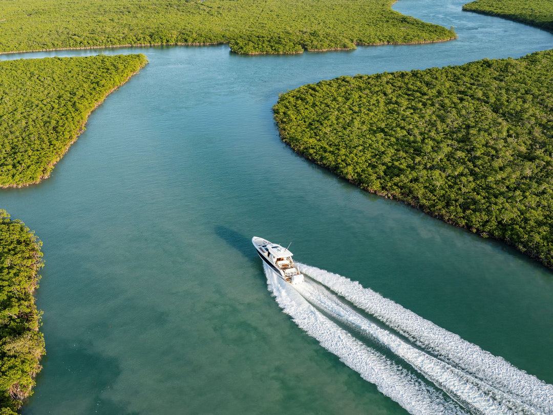 48 LS Mangroves 2