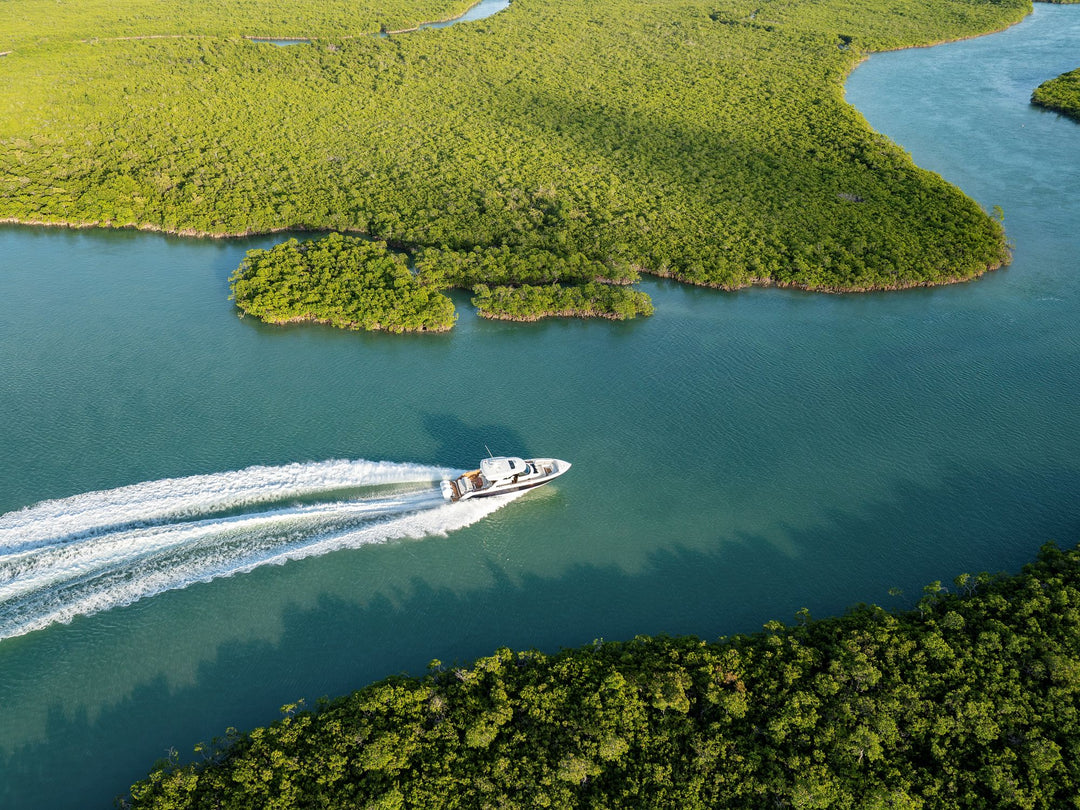 48 LS Mangroves