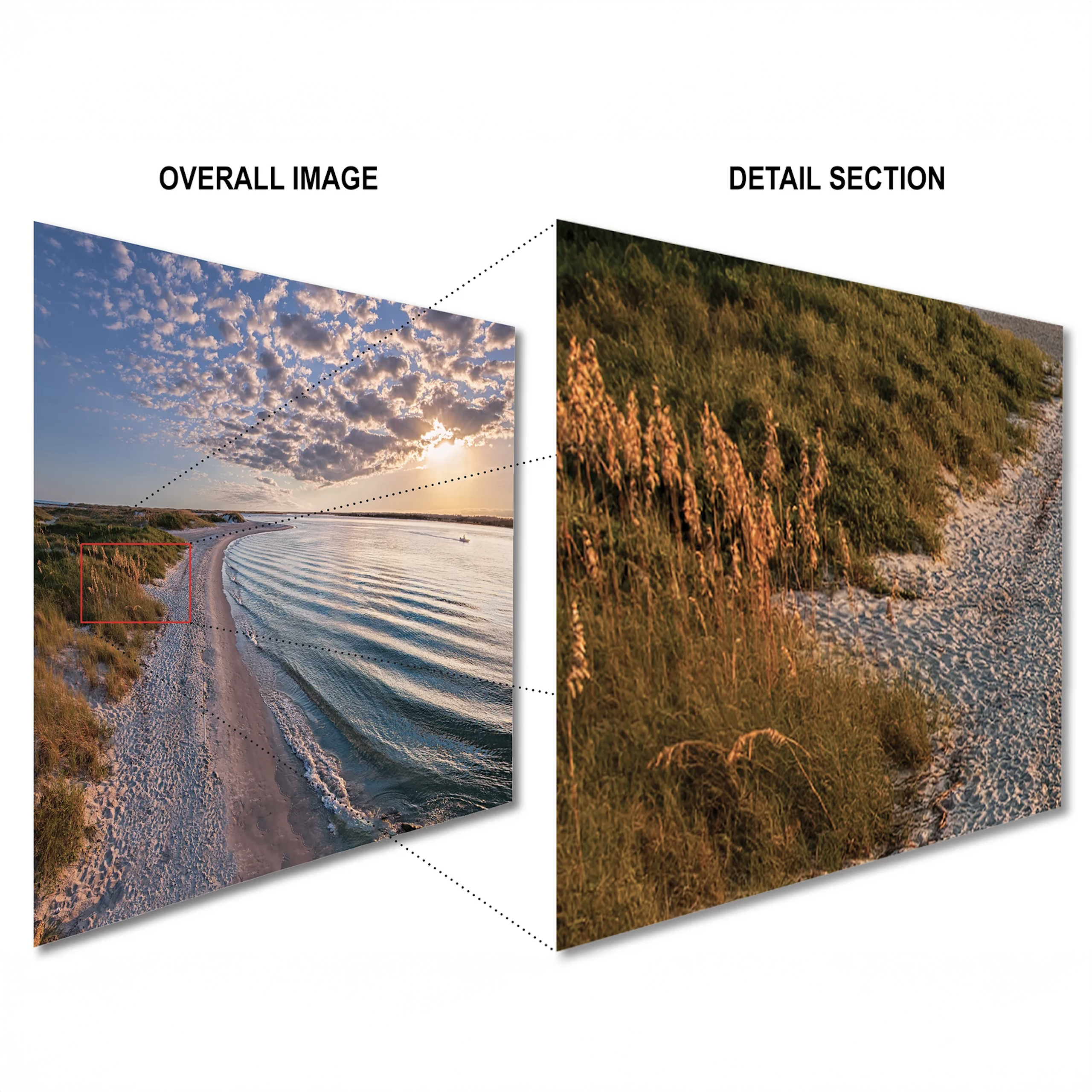 Proofs – Vivid Metal Prints