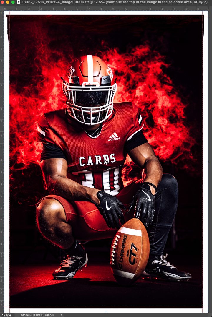 16x24 Framed Metal Print Sample