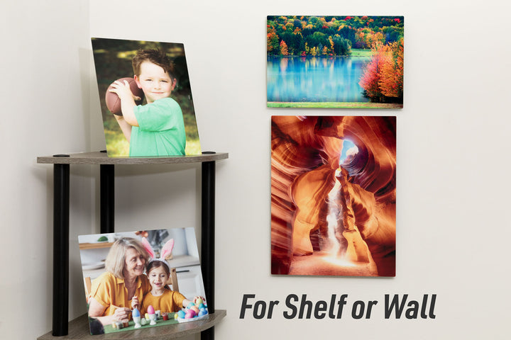 10x10 Metal Print